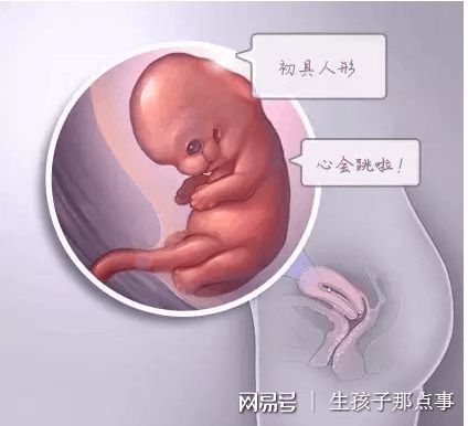 林医生